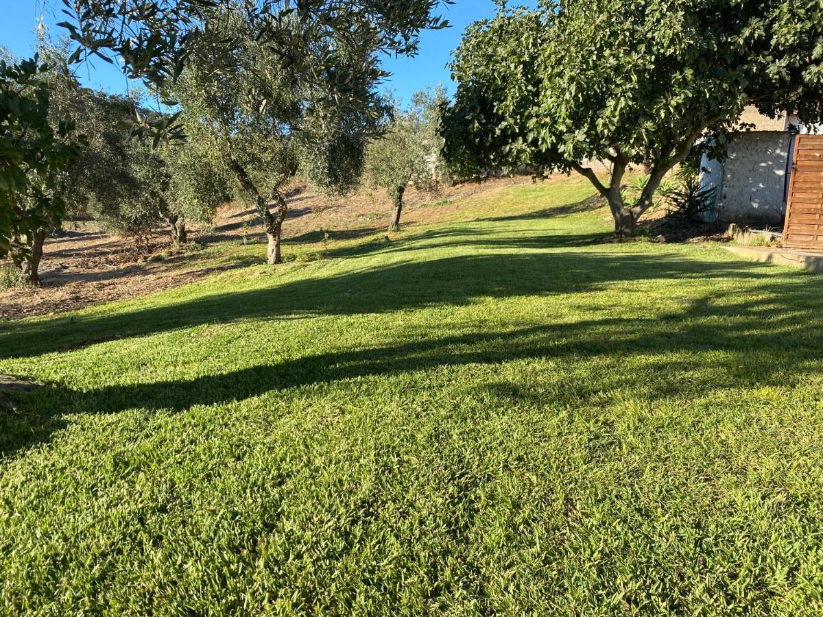 Monte Da Alameda - Piscina Aquecida Villa Santa Luzia  Exteriör bild
